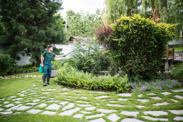 Best Local Pest Control Services  in Abilene, TX
