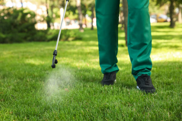 Trusted Abilene, TX Pest Control Experts