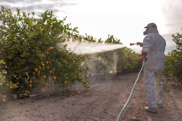 Best Bed Bug Extermination  in Abilene, TX