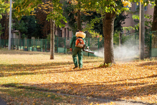 Best Residential Pest Control  in Abilene, TX